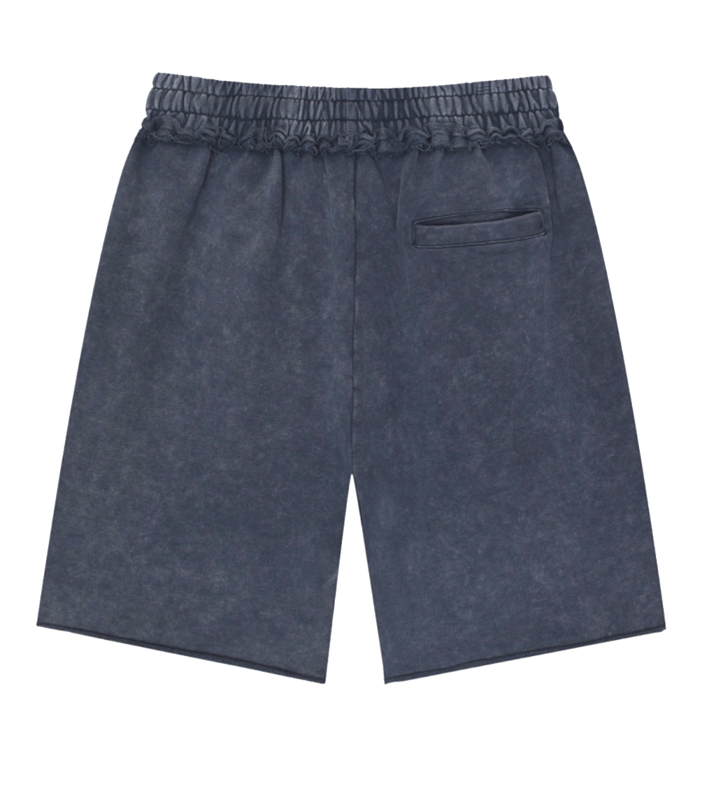Riptide Shorts